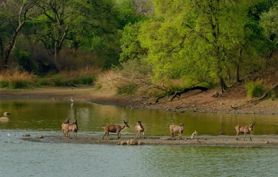 mollem national park