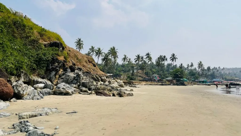 beach party places in goa