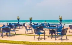 Beach Restaurants